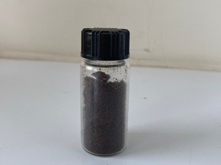 Kashmiri Deer Musk Grains – 100% Wild & Pure (Kasturi / Kaberga)
