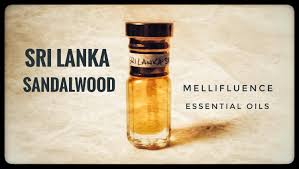 Sri Lankan Sandalwood Oil